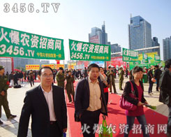 ɽ|ֲ𱬾W(wng)(chung)º_Mе