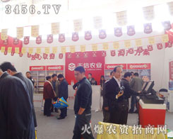 ɽ|Sr(nng)I(y)Ƽ_(ki)l(f)޹˾