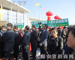 𱬾W(wng)Ԛ(sh)չʾذ(chng)