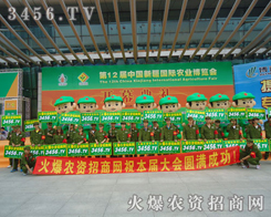 F(tun)Y(ji)ѐͻľ׌˸Є