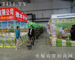 Lʢ(hu)ϻr(nng)YW(wng)eOչ