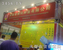 dNcݷNӕ(hu)ϲr(sh)