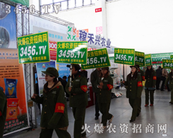 ͣɐ۵Ļr(nng)Y̾W(wng)F(tun)(du)