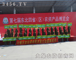 ׷r(nng)YW(wng)(zhn)ȫԸ