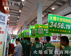 𱬾W(wng)F(tun)(du)չ(zhn)(jin)־Ǆ