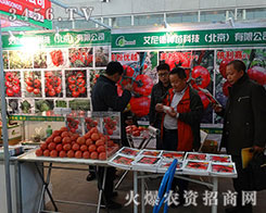 ·NƼ2015IN(hu)P(gun)עȱq