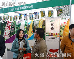 ƴŕA2015INӕɹһڱQ(mo)