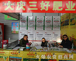 c÷ʘI(y)2015INӽוݴl(f)ȫ(zhn)