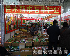 ľ˹ʯSNI(y)չʾƷò