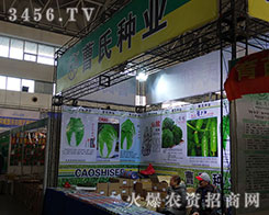 ϷNI(y)|(zh)u(y)l(f)չ