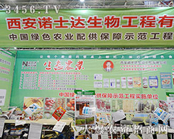 Zʿ_(d)ﺞs࣬2015ֲp(hu)Bˢѿ(j)