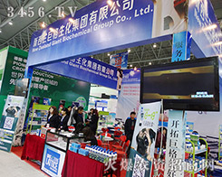 m޸F(tun)c31ֲ(hu)L(fng)