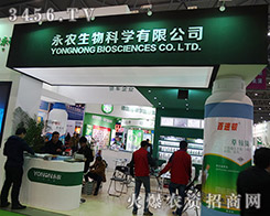 r(nng)2015Ϸֲ(hu)ʢ