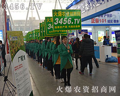 r(nng)Y̾W(wng)Լw@Ƭ