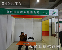 ɽ|SNI(y)2015ʝr(nng)Yו(hu)VY(ji)I(y)