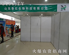 ɽ|tںʝɕ(hu)Tx`Ź