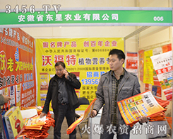 |2015ݷϕ(hu)һչL(fng)