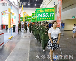 2015ݷNӕ(hu)r(nng)Y̾W(wng)ذ(li)u