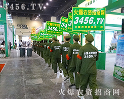 3456.TVٴγ(zhn)ݷNӕ(hu)չʾr(nng)Y˵ľò