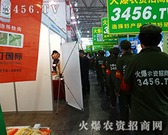 Gɫ(zhn)ʿ҂Ŭ𱬓P(yng)