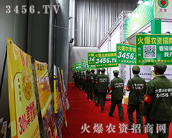 ֻŬ(jin)ֲиĻ˲AýK