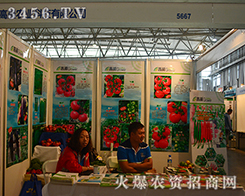 ߳r(nng)I(y)(zhng)r(nng)YИI(y)I(lng)^