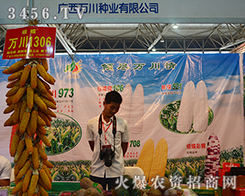 VfNI(y)ٴA2015r(nng)(hu)