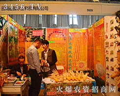 ϵϏr(nng)I(y){2015r(nng)