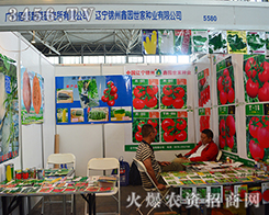 \Έ@ҷNI(y)r(nng)YИI(y)I(lng)^