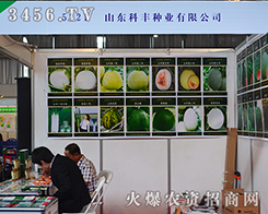 ɽ|SNI(y)2015r(nng)