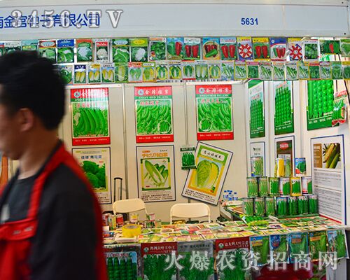 ϽmNף2015r(nng)AM]Ļ