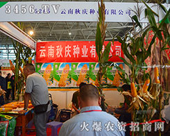 cNI(y)îa(chn)ƷӲ