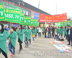 ǰMĵ·3456.TVԌȡ