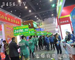 eOϵĻr(nng)Y̾W(wng)(zhn)ʿ