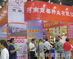 2016ϷNӕ(hu)̶NI(y)֮ǰI