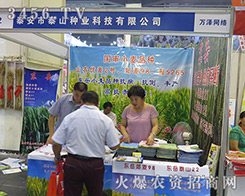 2016ϷNӕ(hu)̩̩ɽNI(y)Ƽr(sh)L(fng)ƾ