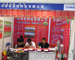 l(f)NI(y)x(chung)xͣ2016ļNӕ(hu)չ