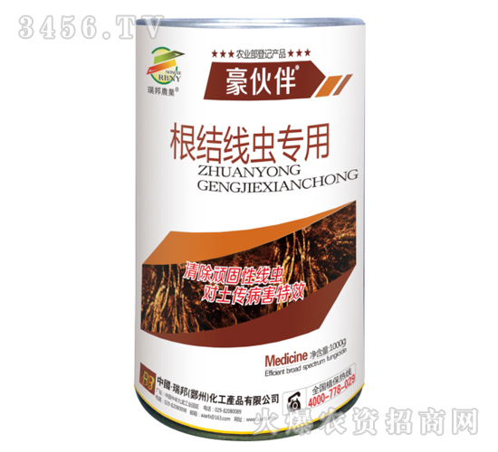 (xin)x(chng)(zhun)--