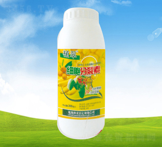 ءƿ-ֲ-Sr(nng)r(nng)