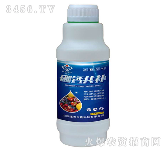 1000g}a(b)-(qing)r(nng)