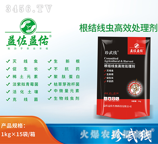 Y(ji)(xin)x(chng)Ч̎턩-侀(xin)-