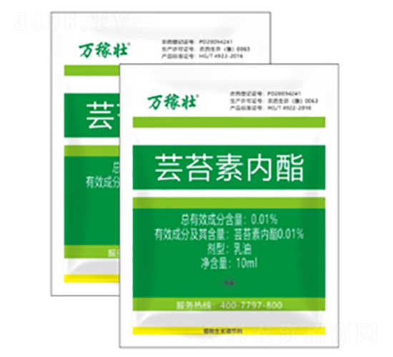 |̦؃(ni)-fډ-r(nng)_