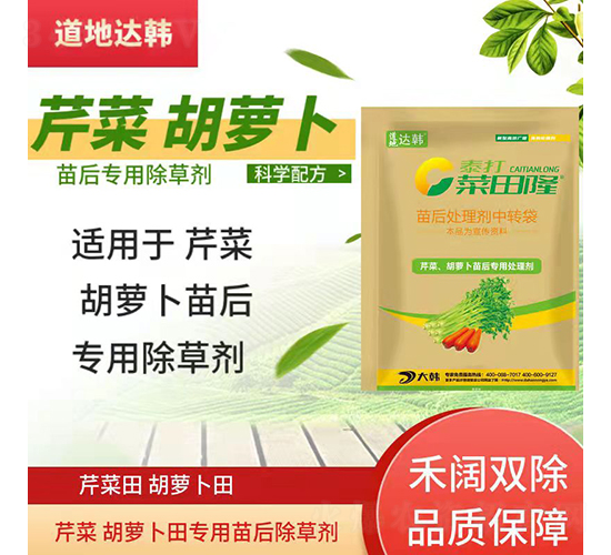 ۲˺}ó݄-¡-_(d)n