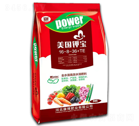 (gu)⛌16-8-36+TE-ʘI(y)