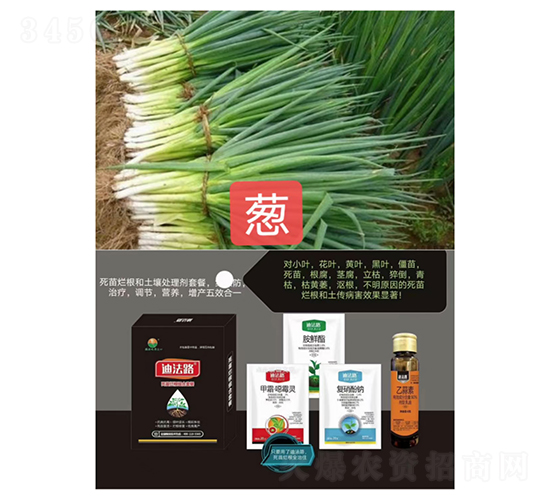 砀Mײͣ[(zhun)ã-Ϸ·-ZM