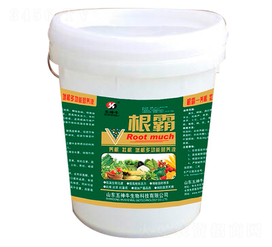 ๦ܠI(yng)B(yng)Һ--ţ