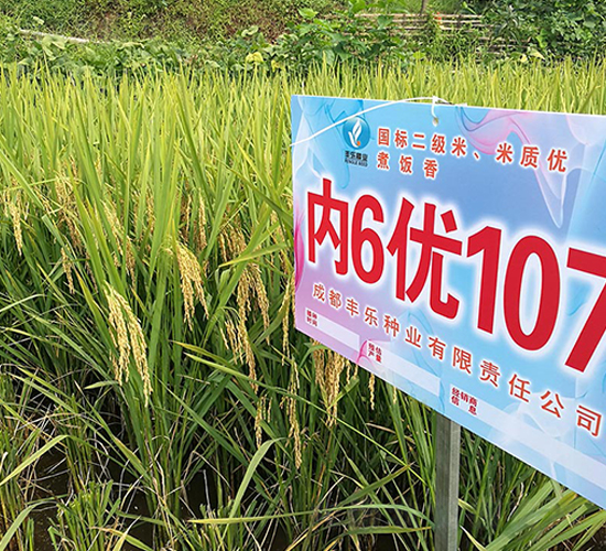 (ni)6(yu)107-ˮN-SNI(y)