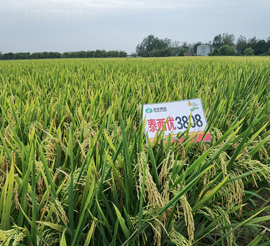 ̩Ƀ(yu)3808-ˮN-S(l)NI(y)