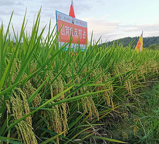 (chung)Ƀ(yu)ռ-ˮN-S(l)NI(y)