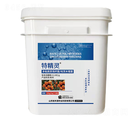 ճѿߗUľù-ؾ`-ԣSԴ